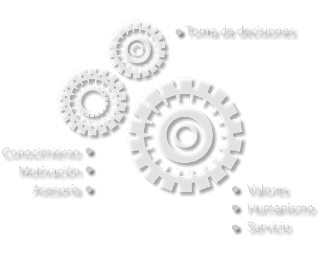 Principios del Liderazgo Empático